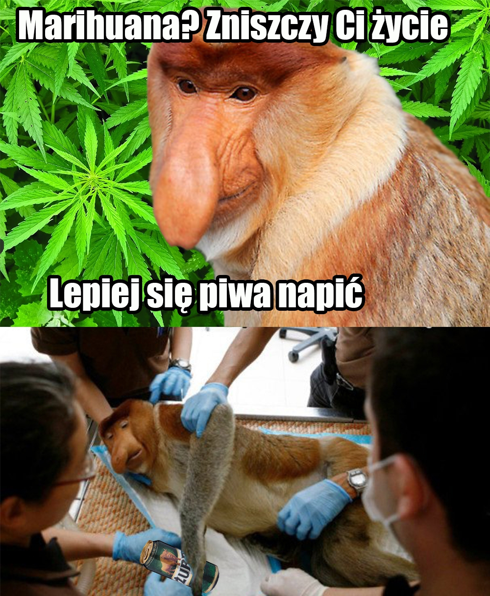 Dzieło sztuki #12377
