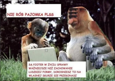 Dzieło sztuki #12379