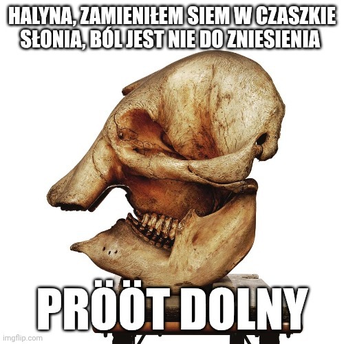 Dzieło sztuki #12388