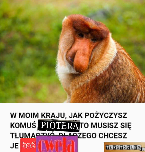 Dzieło sztuki #12415
