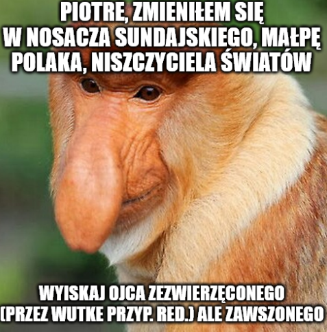 Dzieło sztuki #12433