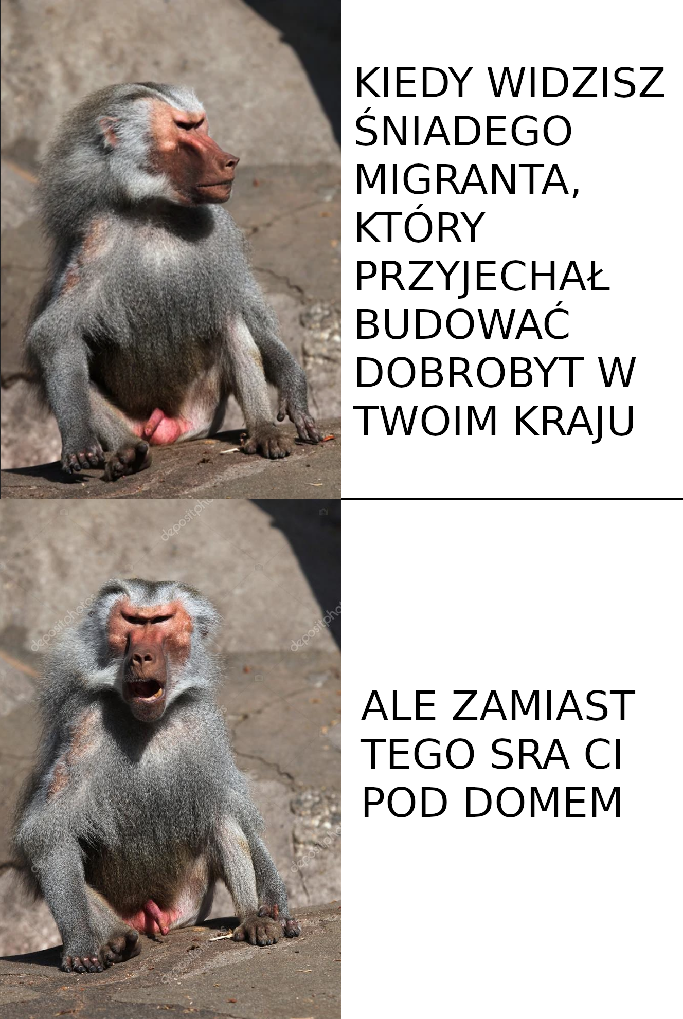 Dzieło sztuki #12435