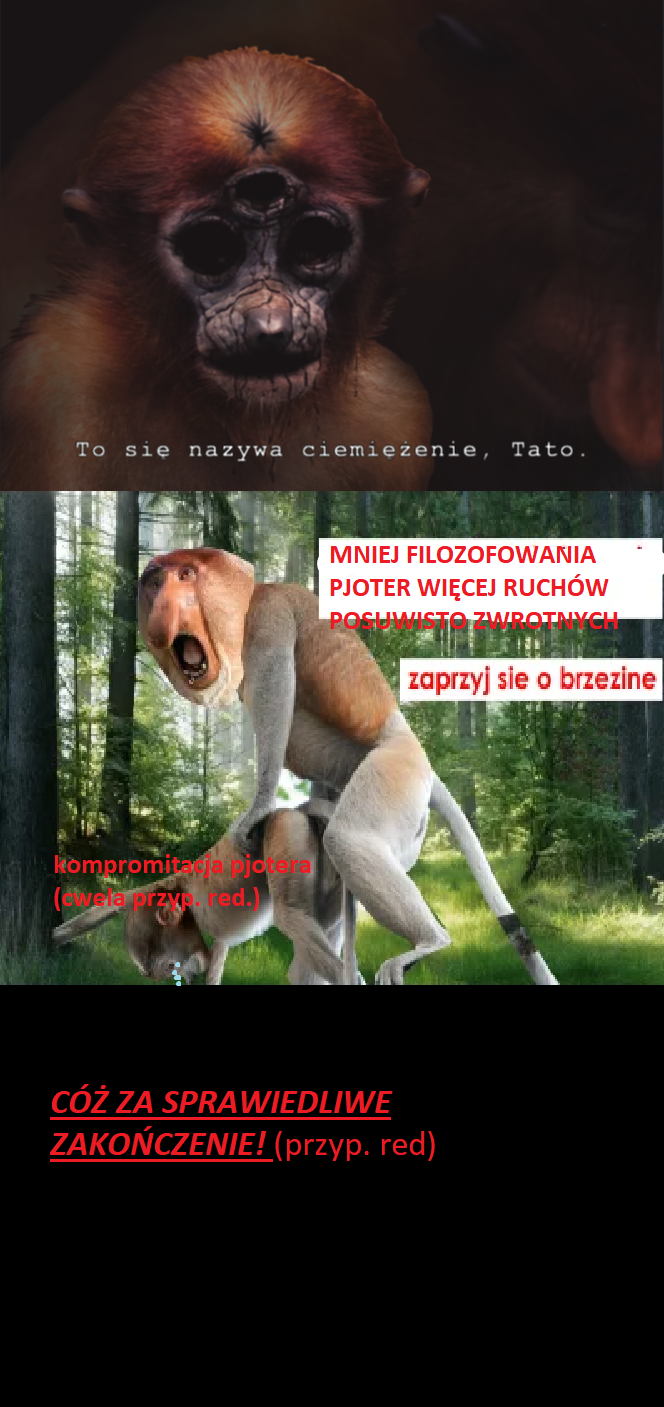 Dzieło sztuki #12440