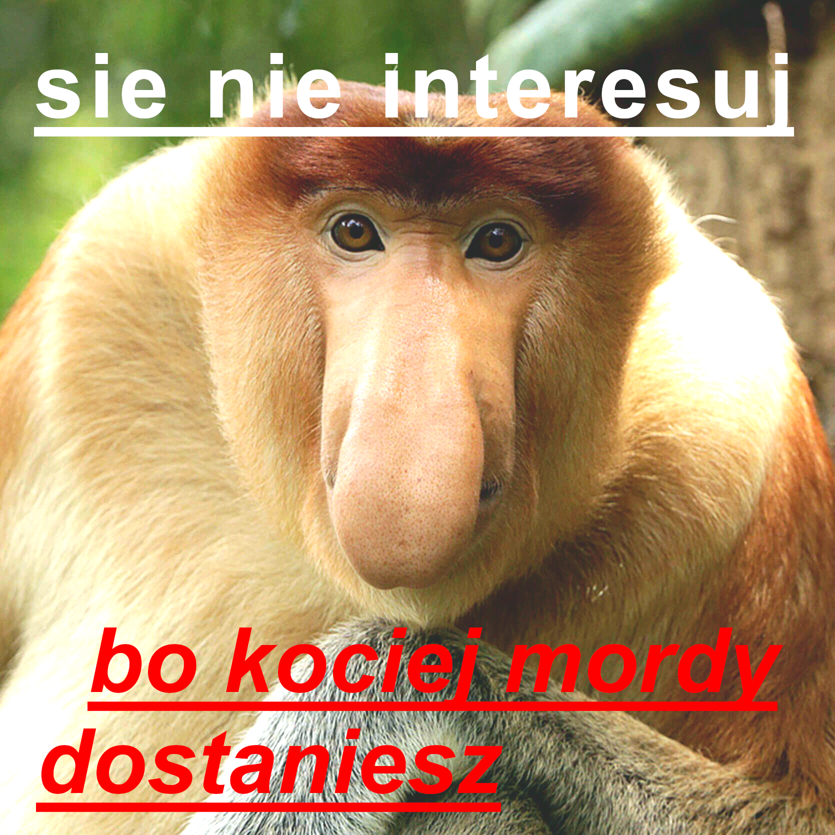 Dzieło sztuki #12448