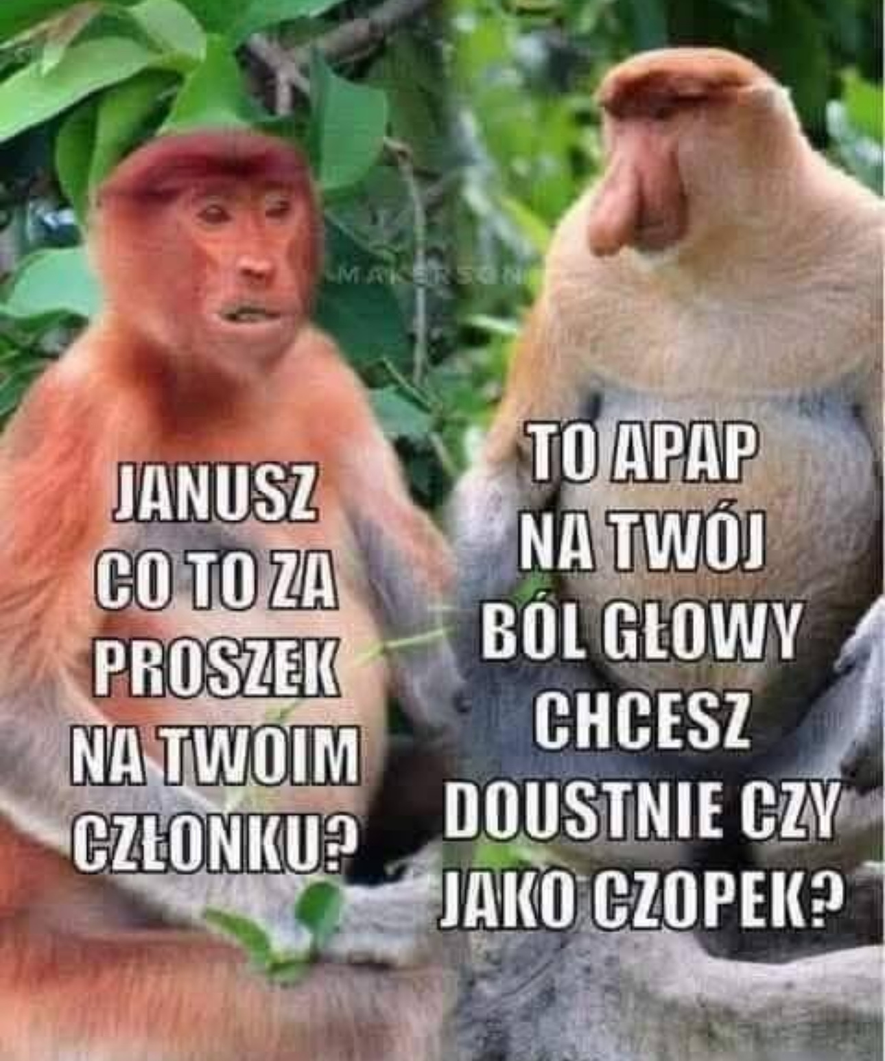 Dzieło sztuki #12456