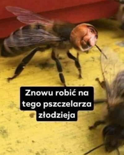 Dzieło sztuki #12466