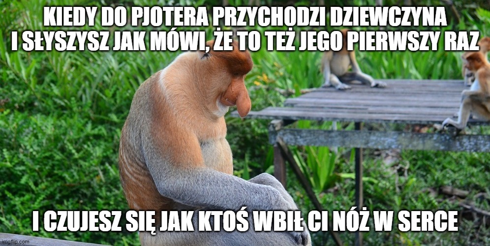 Dzieło sztuki #12469