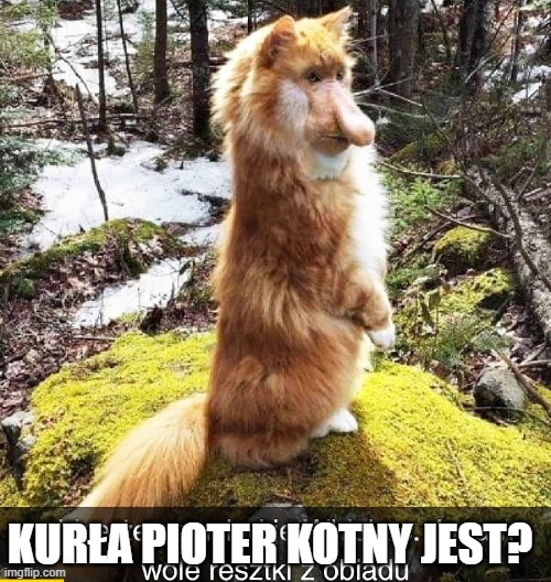 Dzieło sztuki #12472