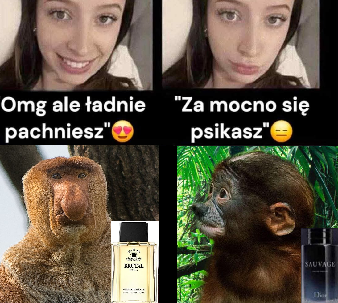 Dzieło sztuki #12476