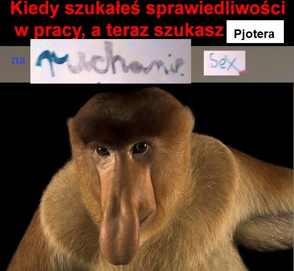 Dzieło sztuki #12479