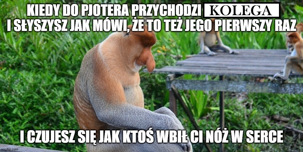 Dzieło sztuki #12485