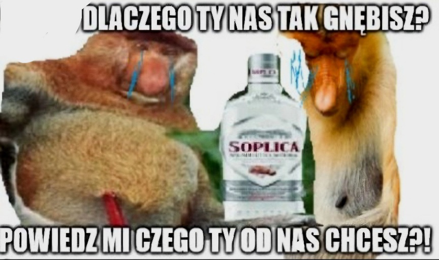 Dzieło sztuki #12501