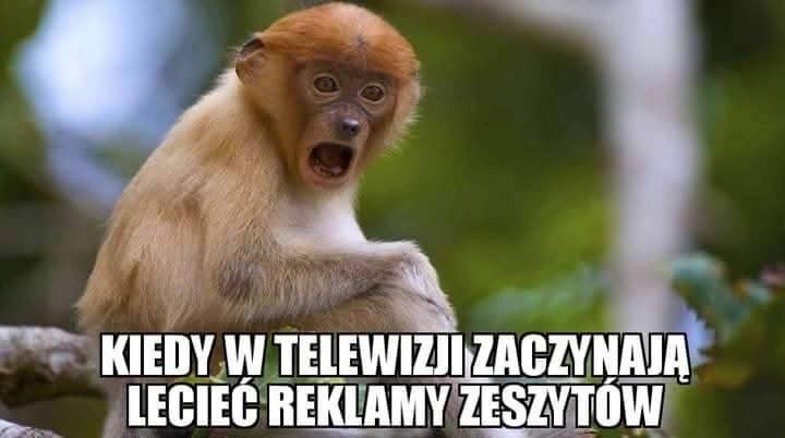 Dzieło sztuki #12503