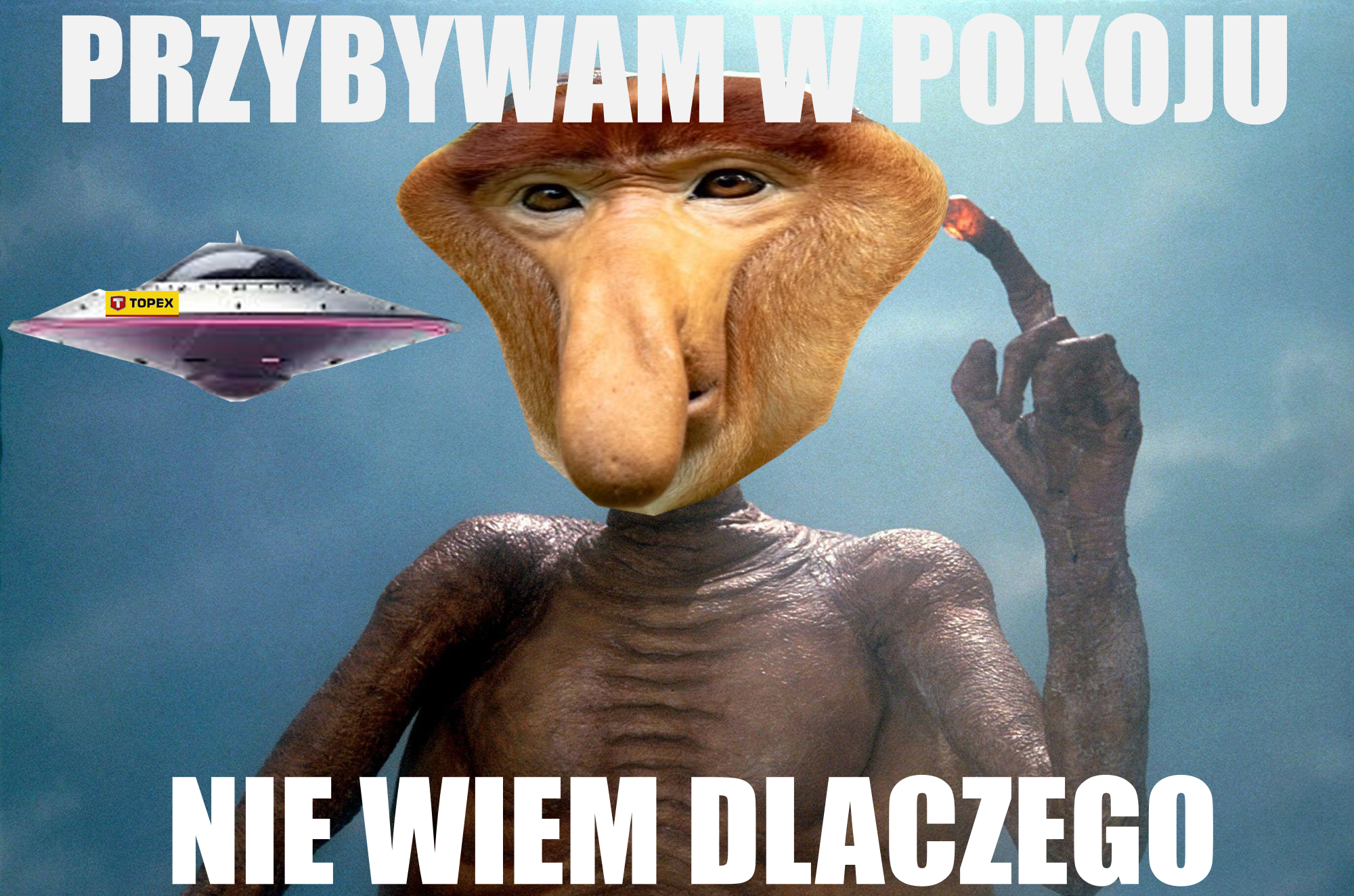 Dzieło sztuki #12505