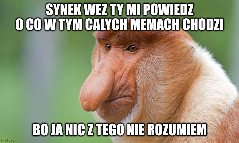 Dzieło sztuki #12509