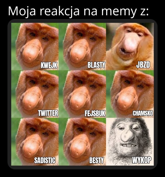 Dzieło sztuki #12519