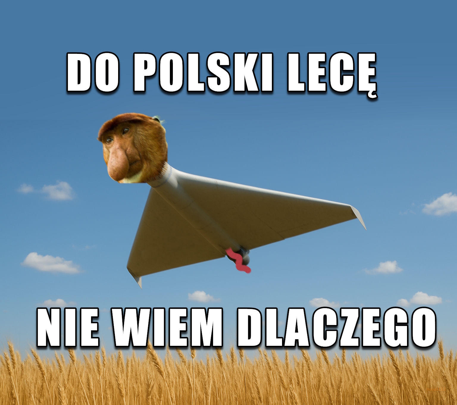 Dzieło sztuki #12520