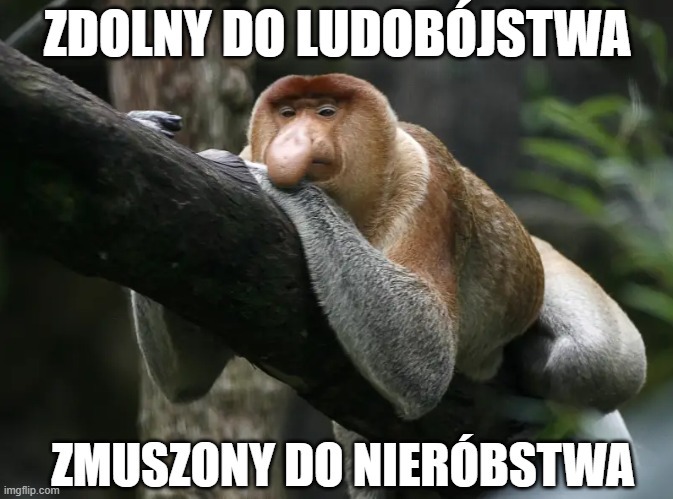 Dzieło sztuki #12527