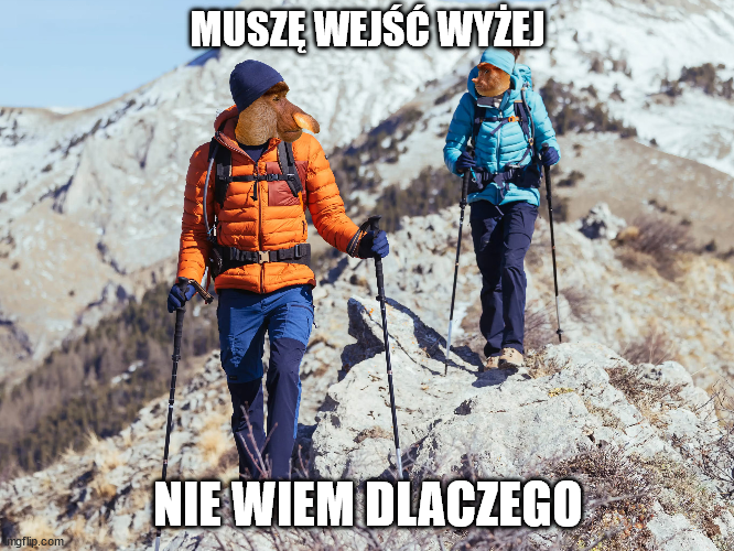 Dzieło sztuki #12541
