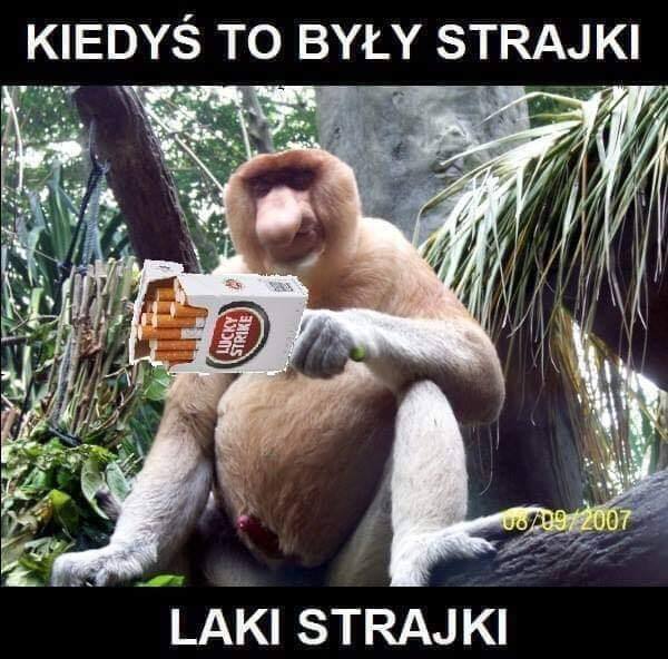 Dzieło sztuki #12542