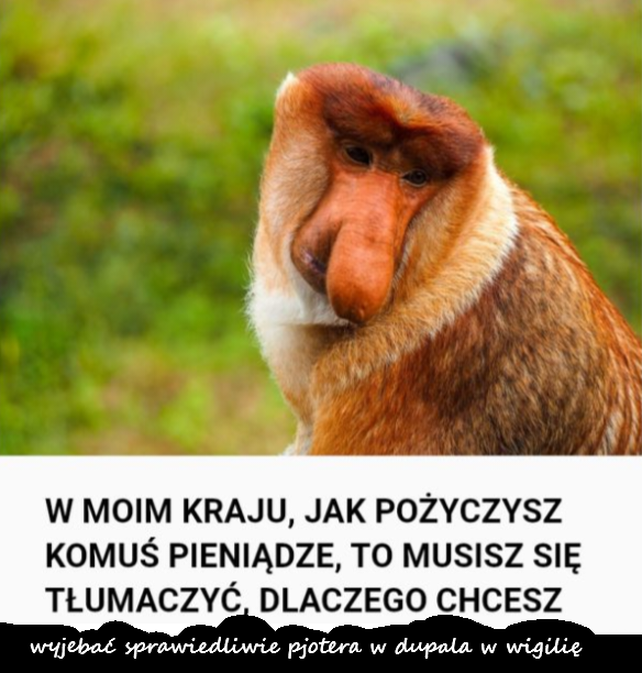 Dzieło sztuki #12564