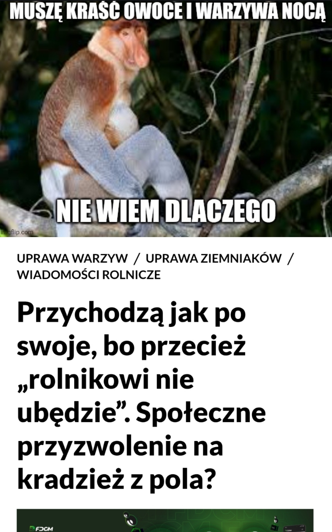 Dzieło sztuki #12593