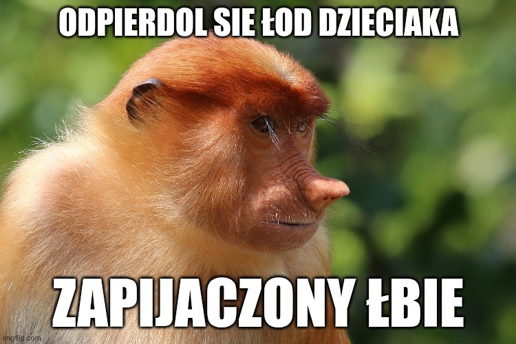 Dzieło sztuki #12595