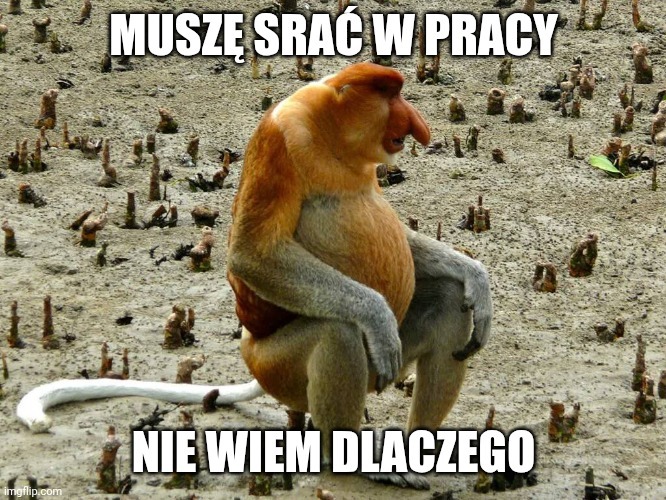 Dzieło sztuki #12601