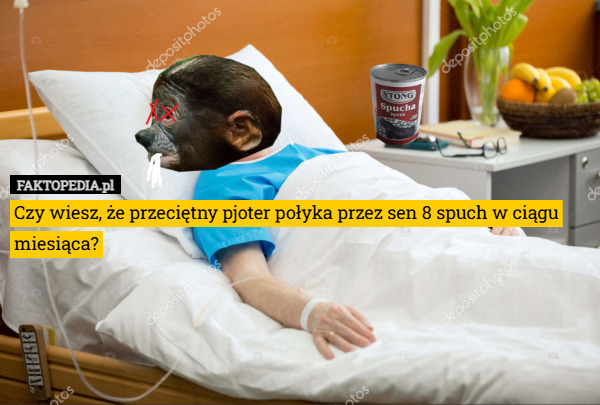 Dzieło sztuki #12602