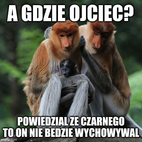 Dzieło sztuki #12643