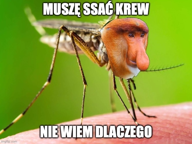 Dzieło sztuki #12649