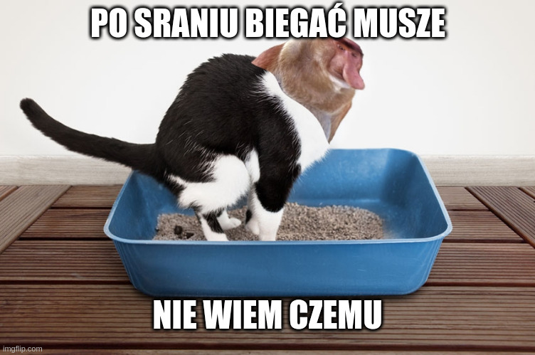Dzieło sztuki #12669