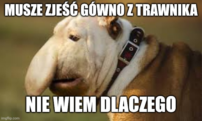Dzieło sztuki #12672
