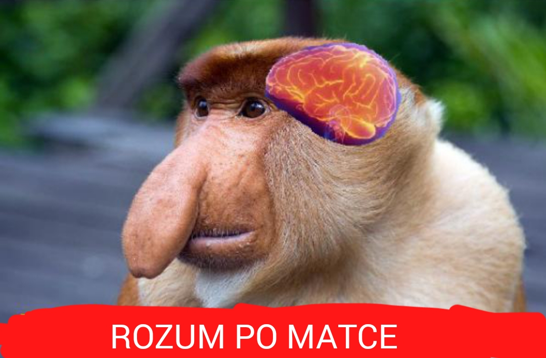 Dzieło sztuki #12675