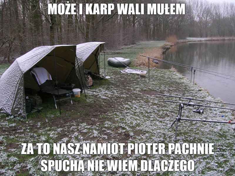 Dzieło sztuki #12699