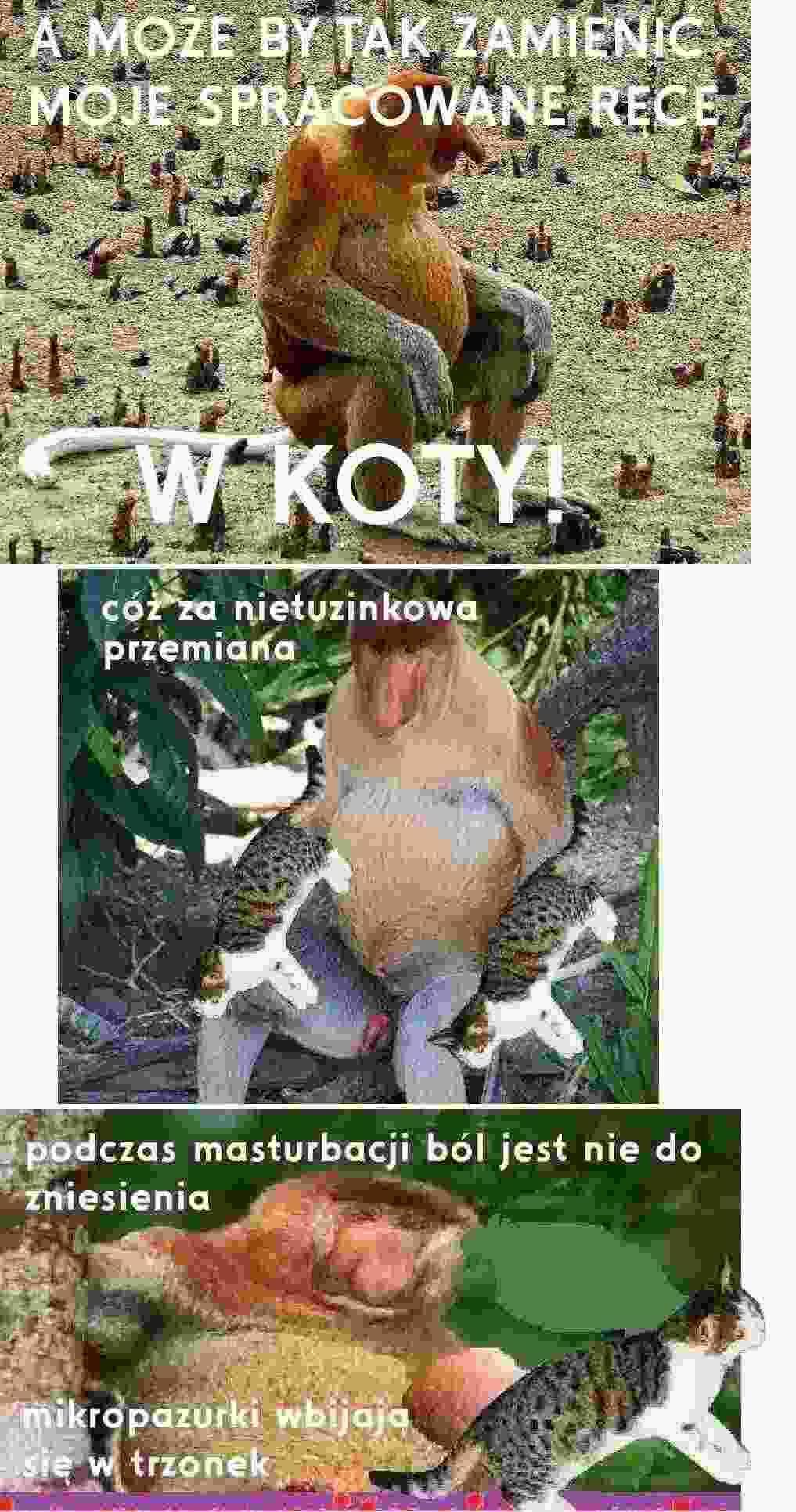 Dzieło sztuki #12705