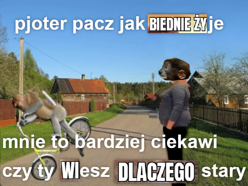 Dzieło sztuki #12729