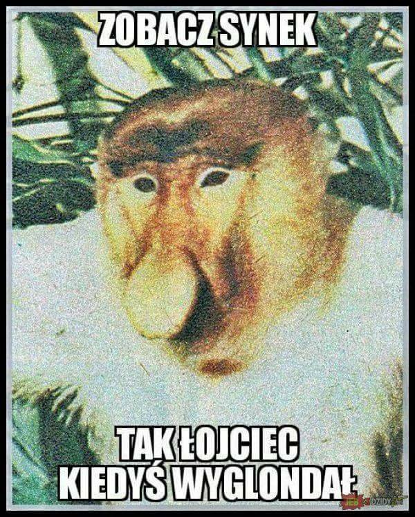 Dzieło sztuki #12731