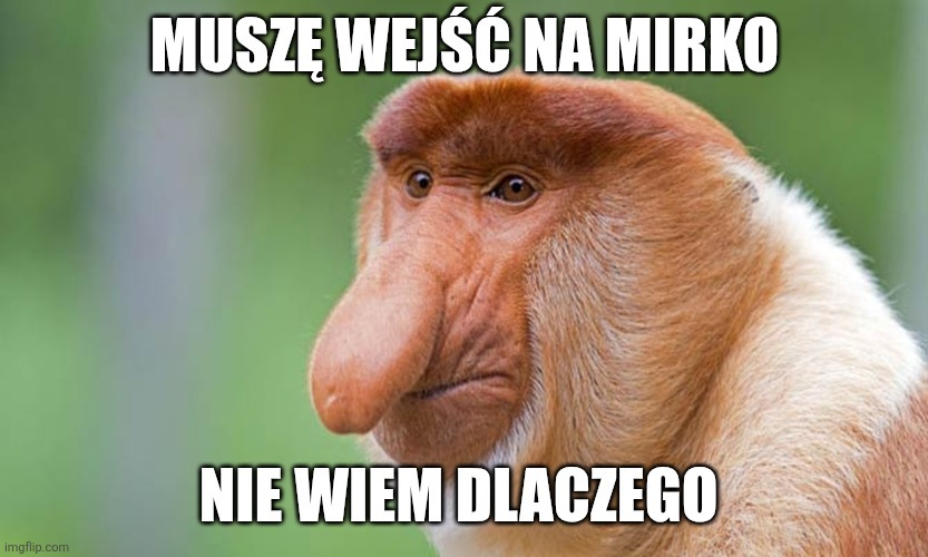 Dzieło sztuki #12735