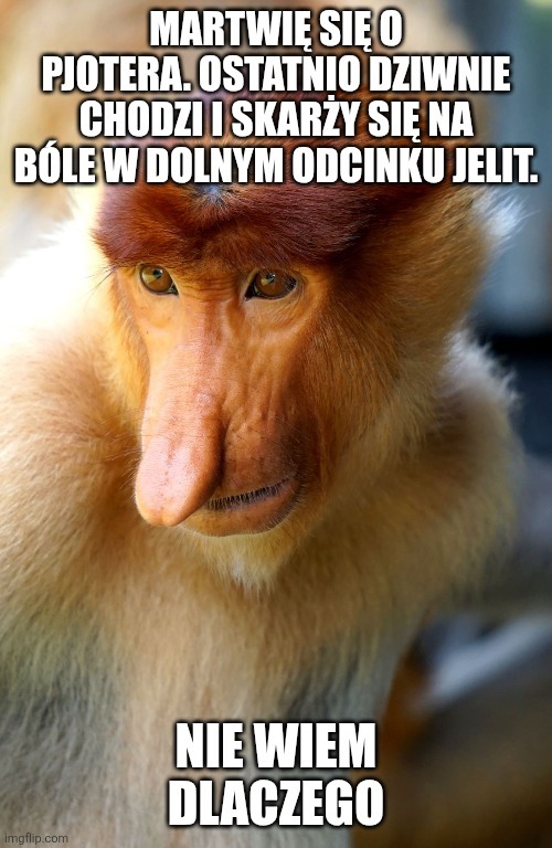 Dzieło sztuki #12757