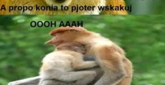 Dzieło sztuki #12774