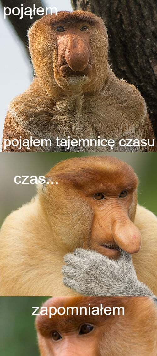 Dzieło sztuki #12794