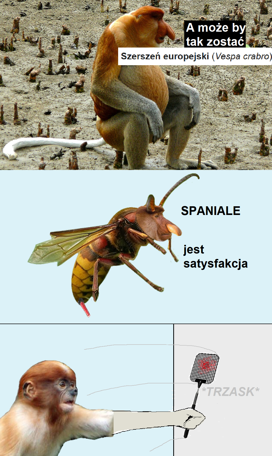Dzieło sztuki #12795