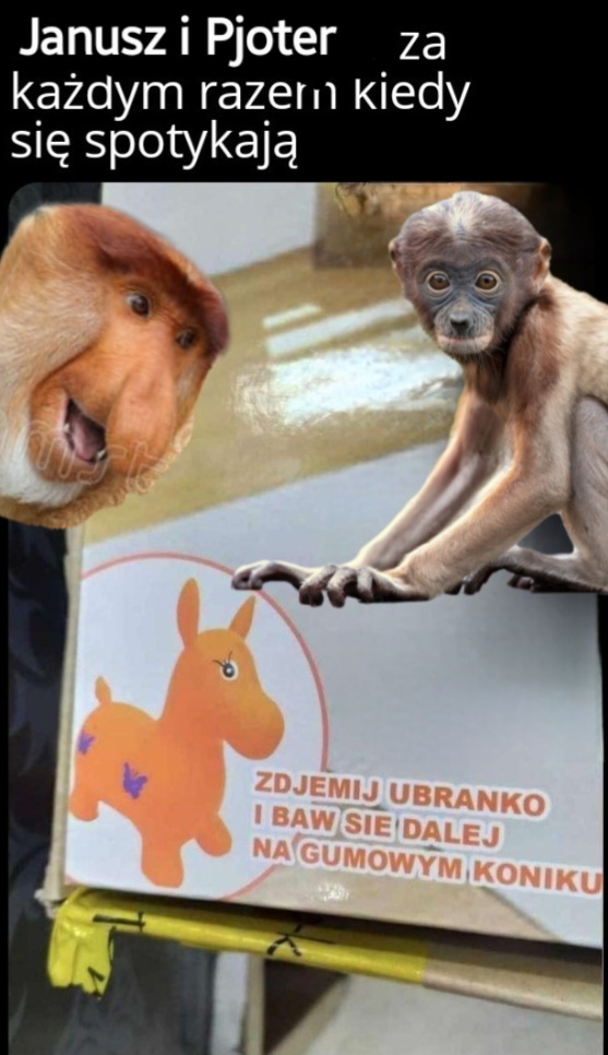 Dzieło sztuki #12796