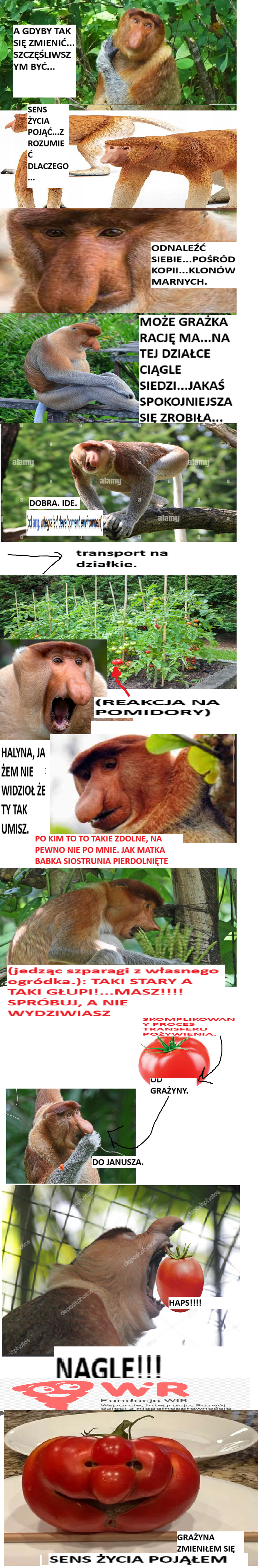 Dzieło sztuki #12803