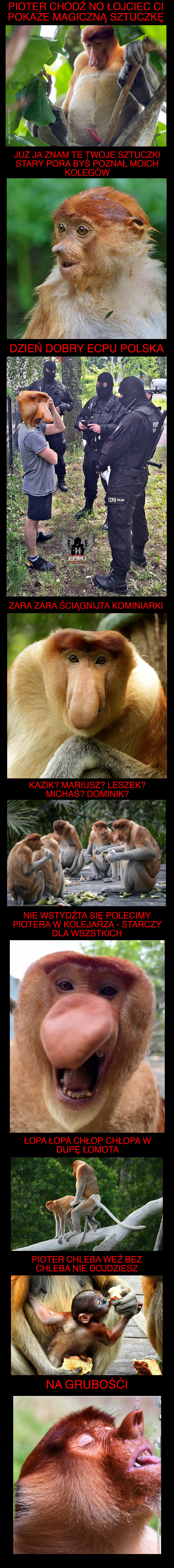 Dzieło sztuki #12804