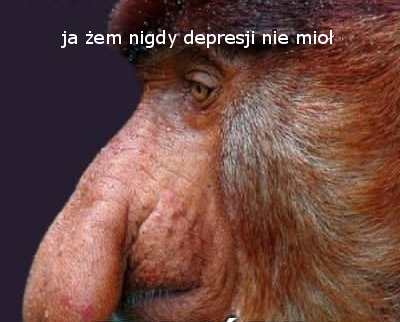 Dzieło sztuki #12854