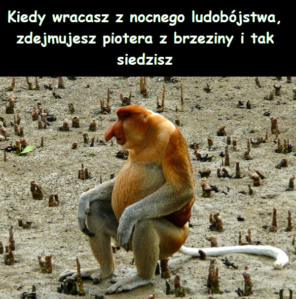 Dzieło sztuki #12857
