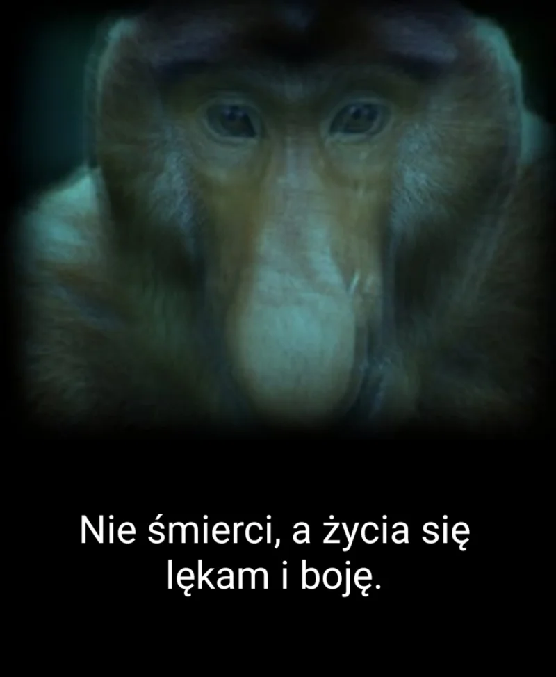 Dzieło sztuki #12863