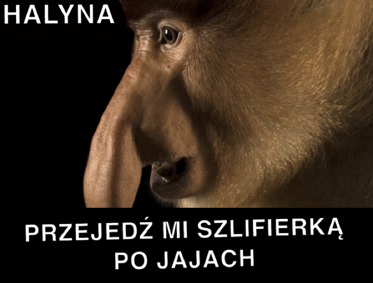 Dzieło sztuki #12874